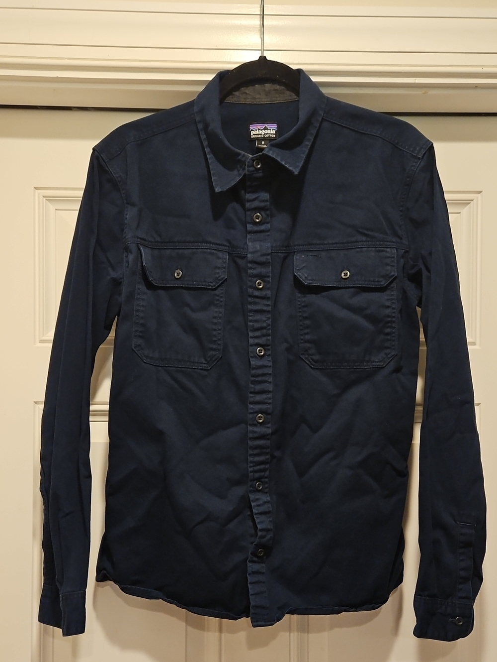 Patagonia Organic Cotton Canvas Button Up